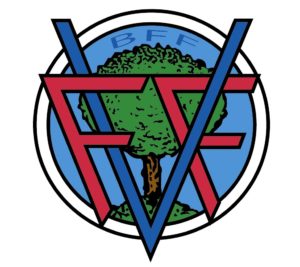 logo(FFVizcaya) Centralita virtual para empresas en Bizkaia (1)