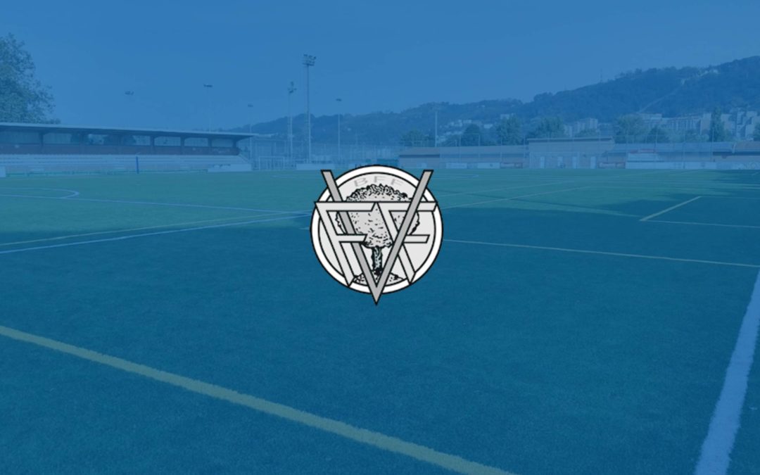 Federación Vizcaína de fútbol