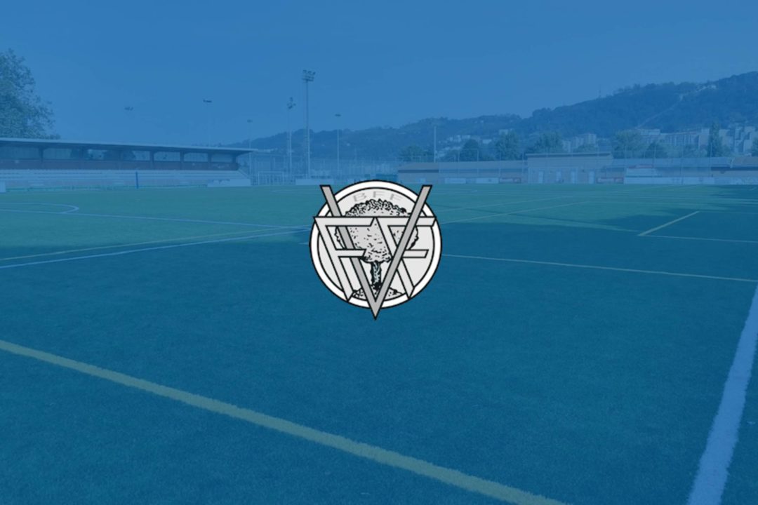 Federación Vizcaína de fútbol