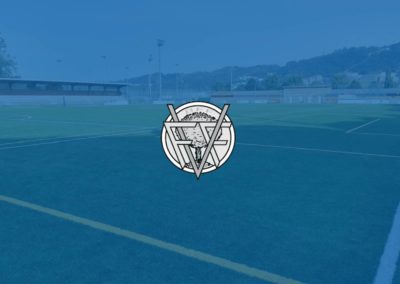 Federación Vizcaína de fútbol